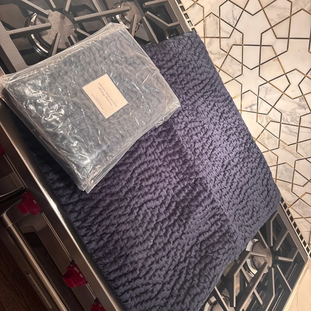 Restoration Hardware TWO Euro Shams Velvet Pick Stitch (2)!